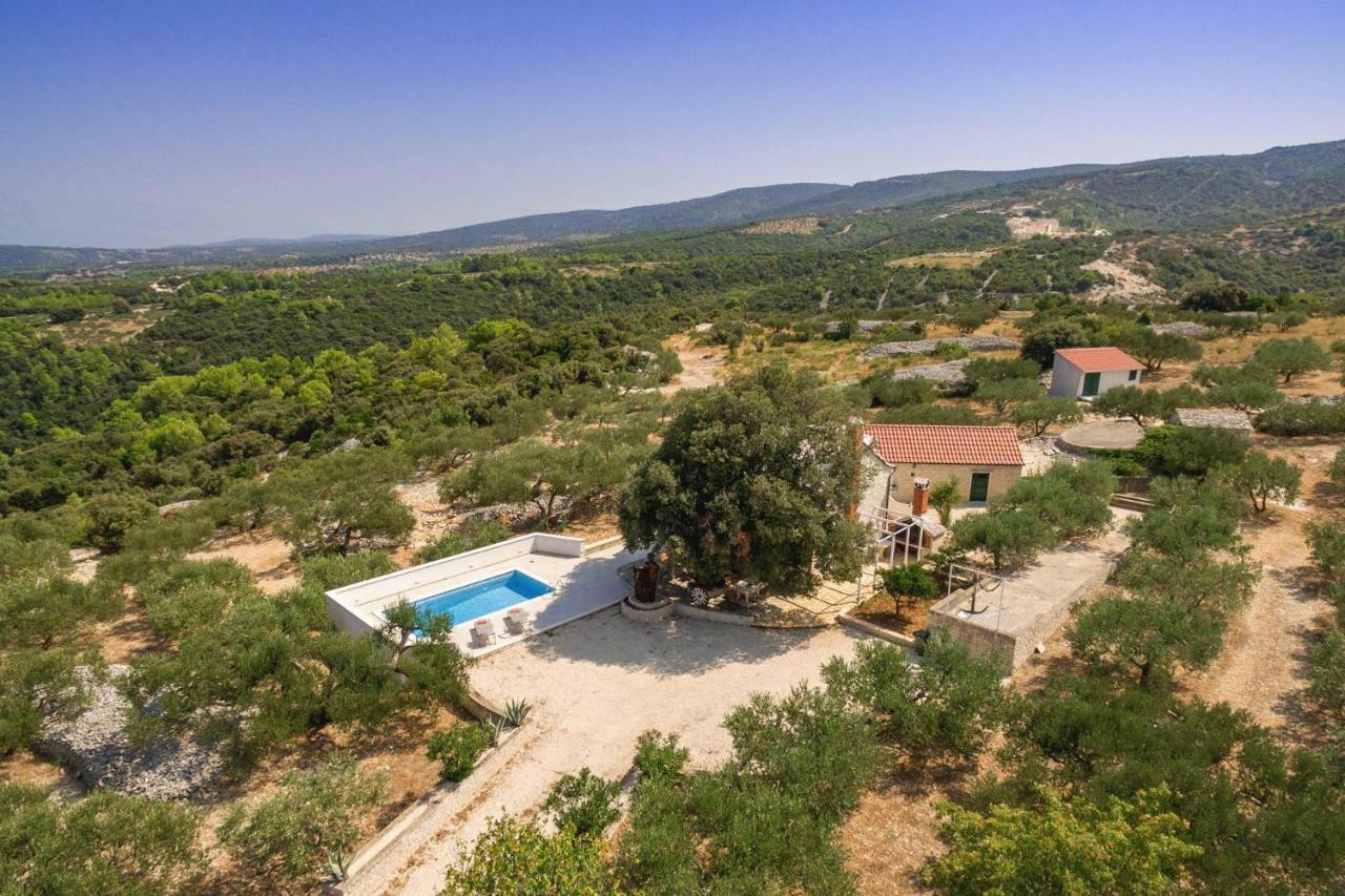 Villa Dubrava Tranquil Retreat Nestled In An Olive Grove For Serene Escapes Pucisca Buitenkant foto