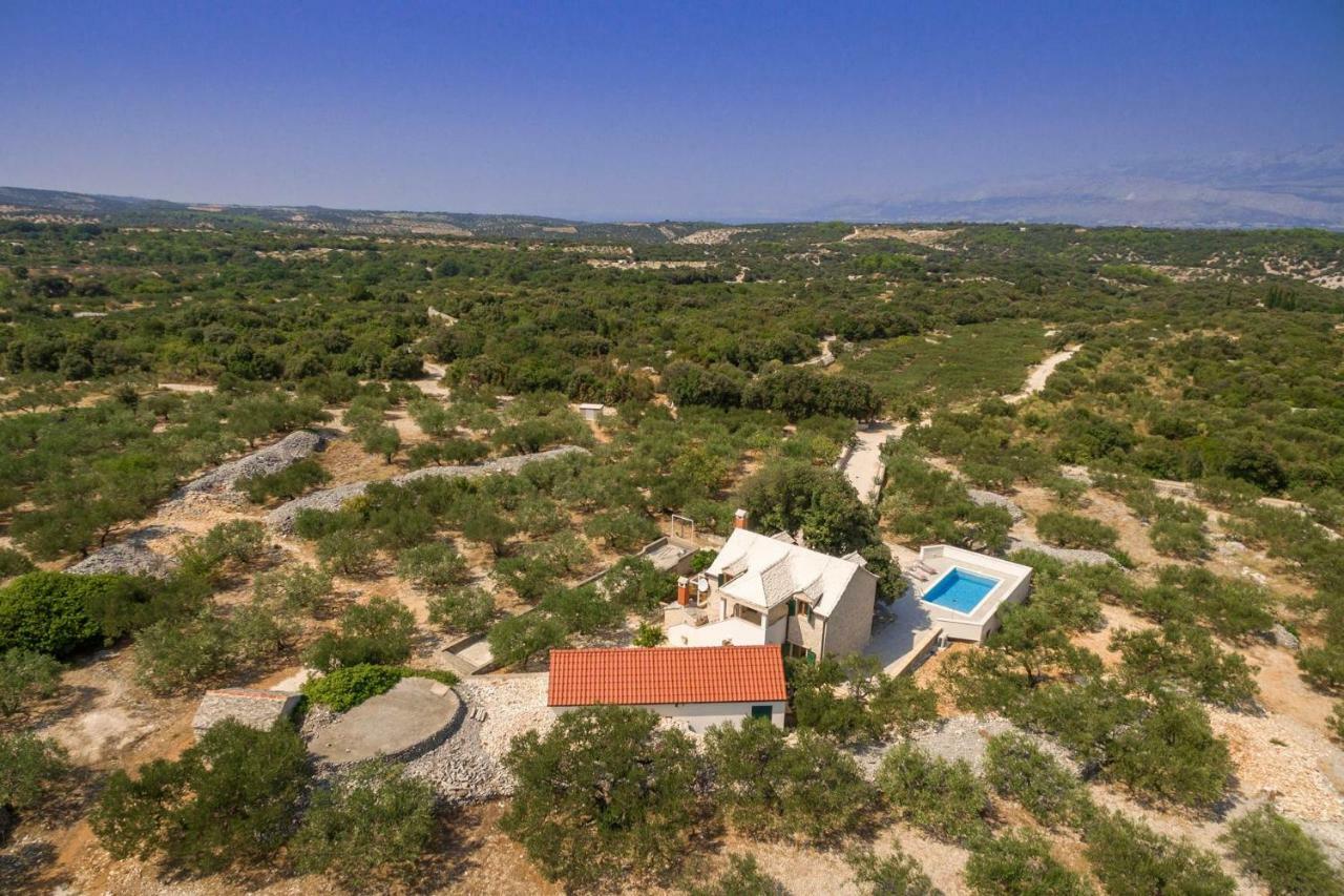 Villa Dubrava Tranquil Retreat Nestled In An Olive Grove For Serene Escapes Pucisca Buitenkant foto