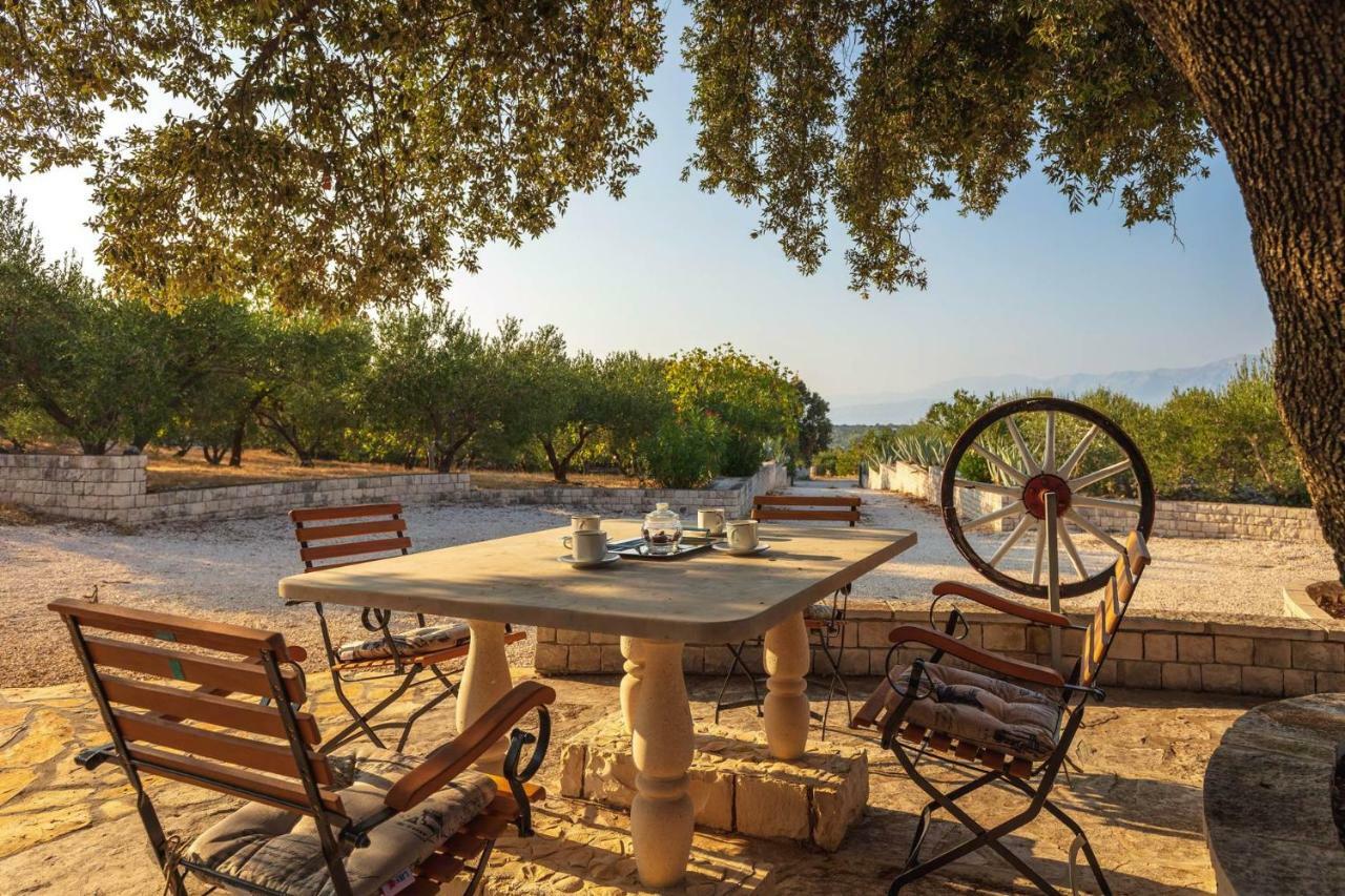 Villa Dubrava Tranquil Retreat Nestled In An Olive Grove For Serene Escapes Pucisca Buitenkant foto