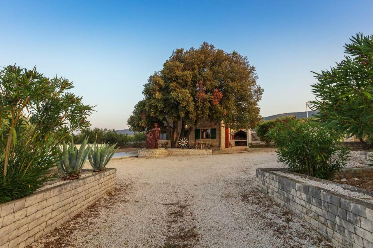 Villa Dubrava Tranquil Retreat Nestled In An Olive Grove For Serene Escapes Pucisca Buitenkant foto