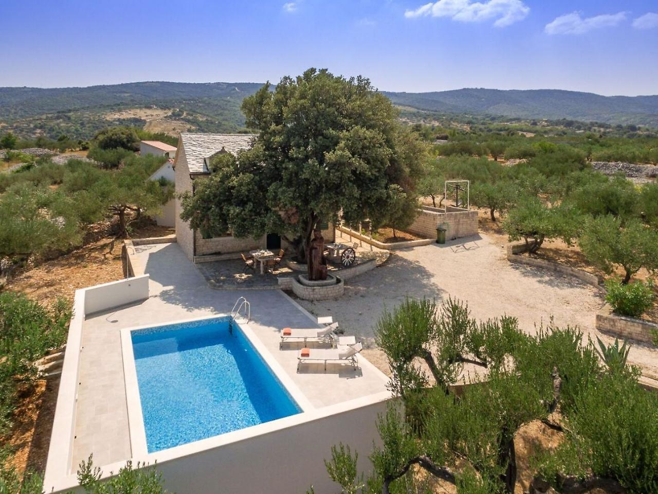 Villa Dubrava Tranquil Retreat Nestled In An Olive Grove For Serene Escapes Pucisca Buitenkant foto