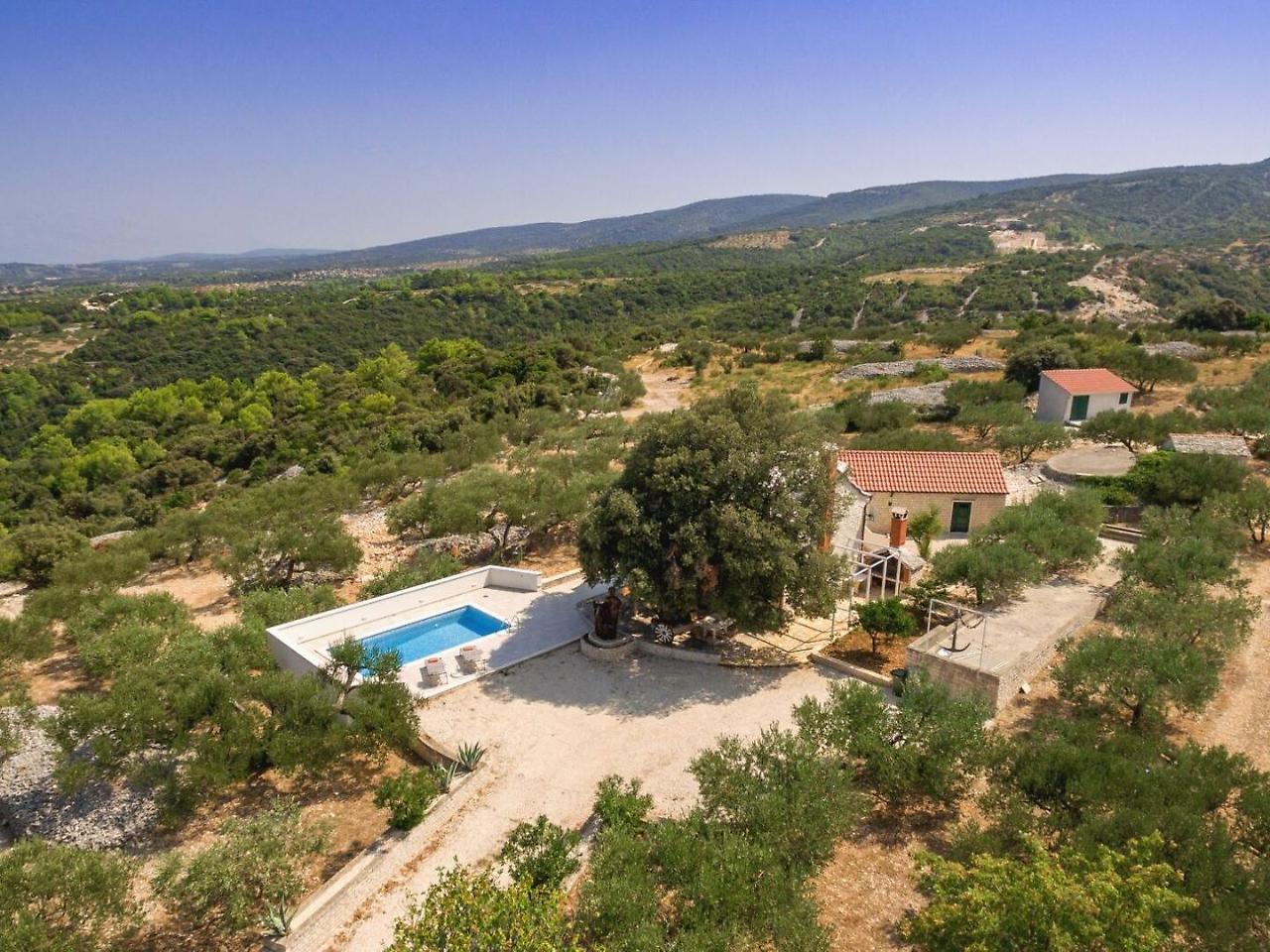Villa Dubrava Tranquil Retreat Nestled In An Olive Grove For Serene Escapes Pucisca Buitenkant foto
