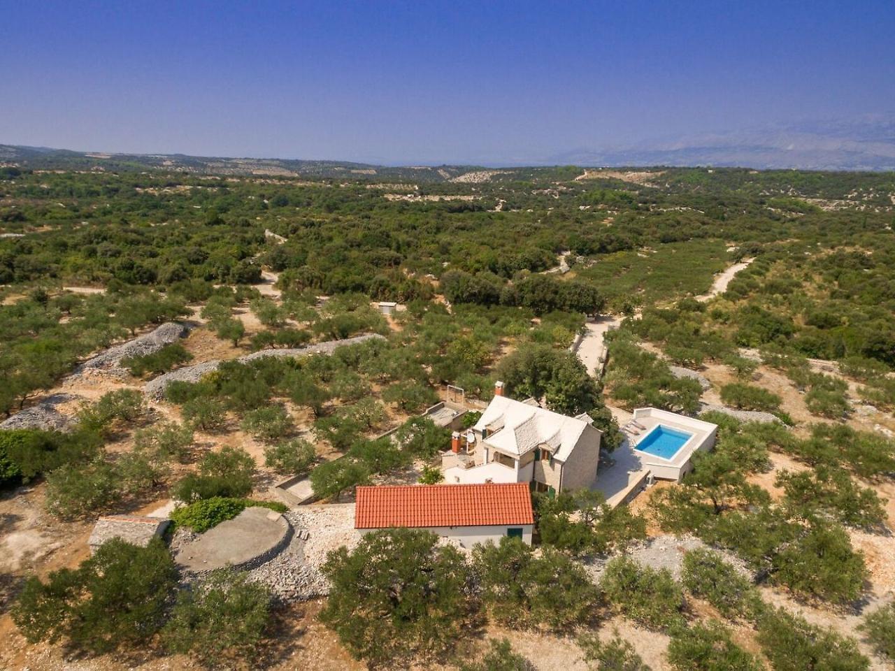 Villa Dubrava Tranquil Retreat Nestled In An Olive Grove For Serene Escapes Pucisca Buitenkant foto