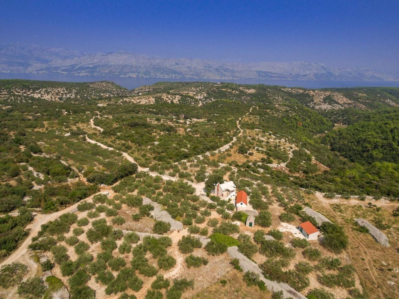 Villa Dubrava Tranquil Retreat Nestled In An Olive Grove For Serene Escapes Pucisca Buitenkant foto